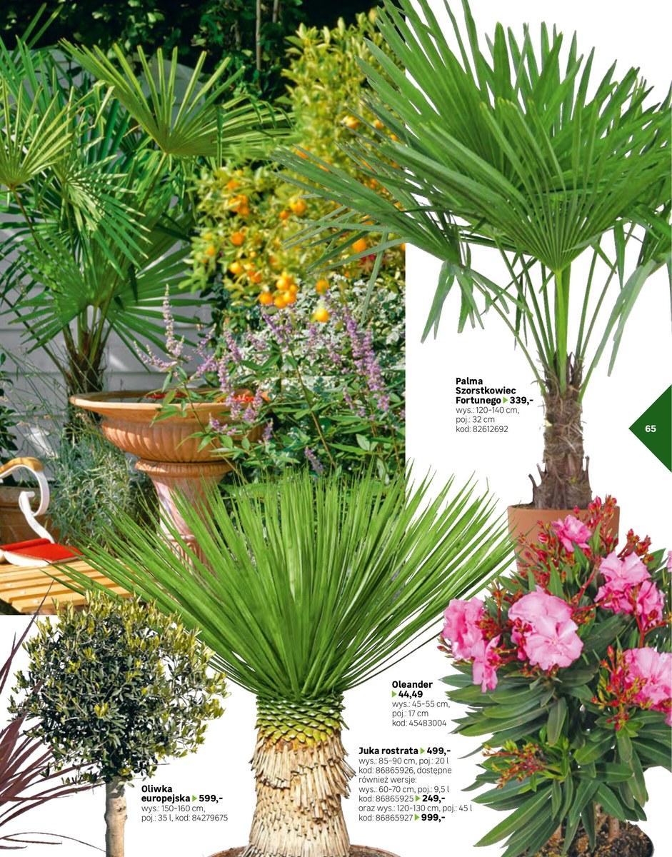 Gazetka promocyjna Leroy Merlin str. 65