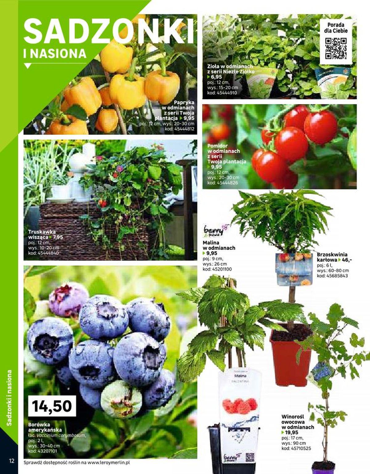 Gazetka promocyjna Leroy Merlin str. 12